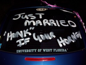 Wedding car decorations - Just Married - Honk If You're Horny!