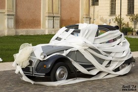 Toilet paper makes great wedding car decorations. 