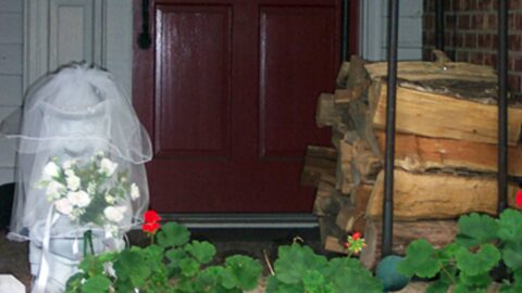 This Little Piggy Goes To Weddings